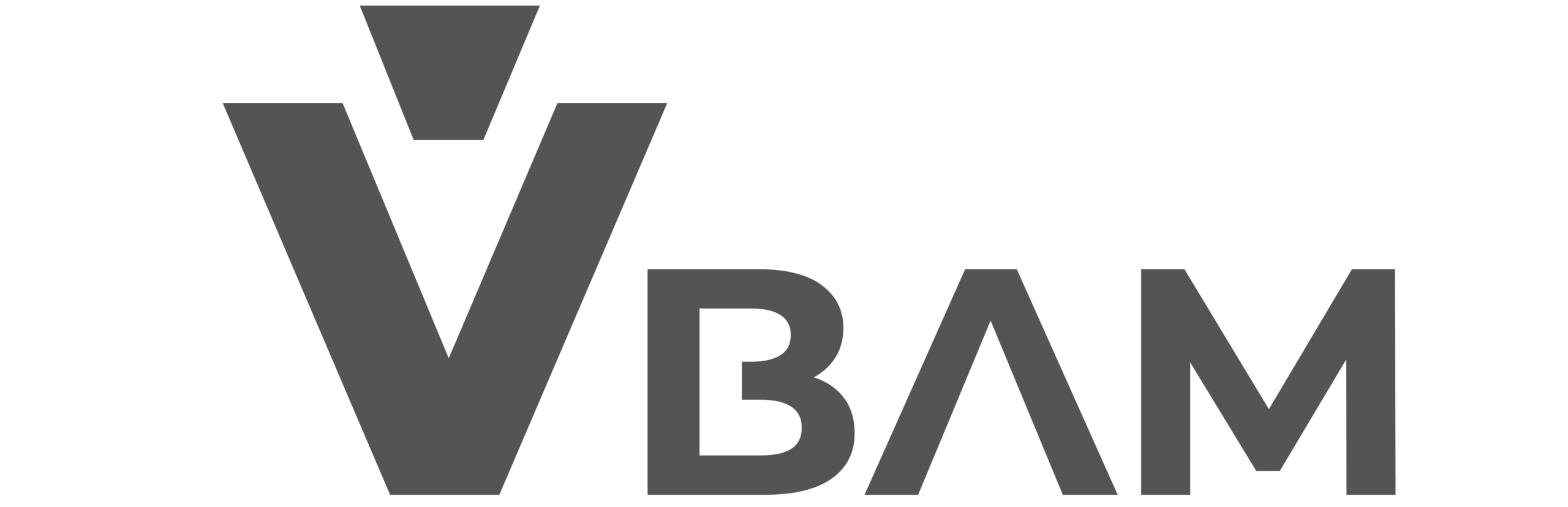 VBAM-scaled-e1775587940212.png